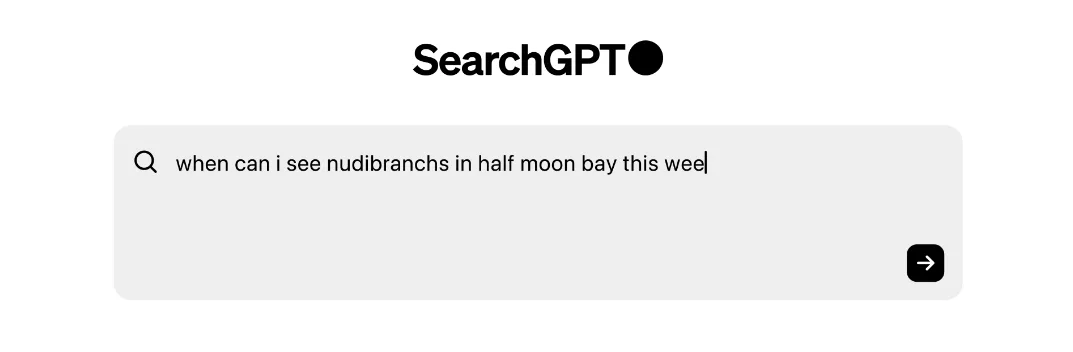 צילום מסך של searchgpt