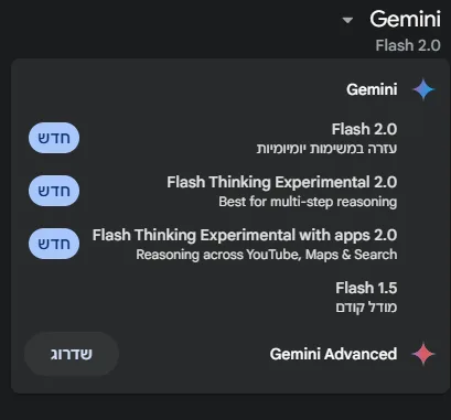 צילום מסך של Gemini 2.0