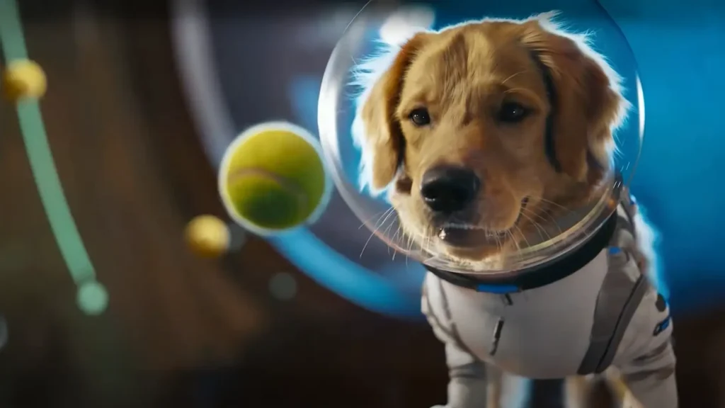כלב בתלבושת אסטרונאוט בחללית מביט בכדור טניס מרחף