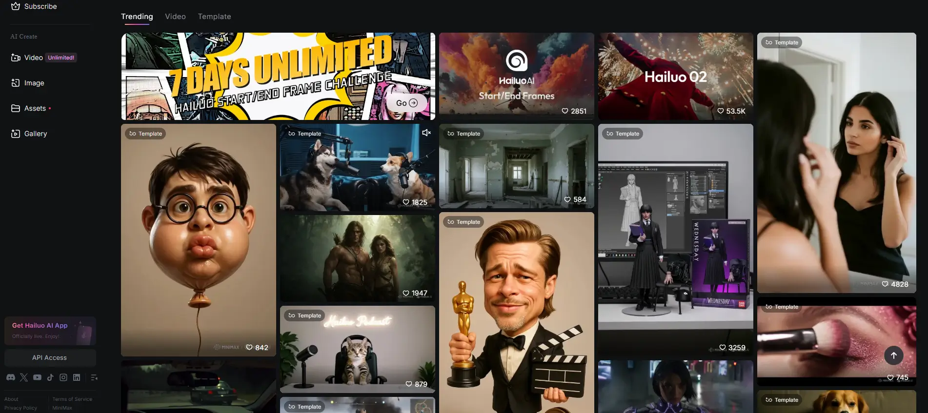 גלריית טרנדים showcase hailuoai