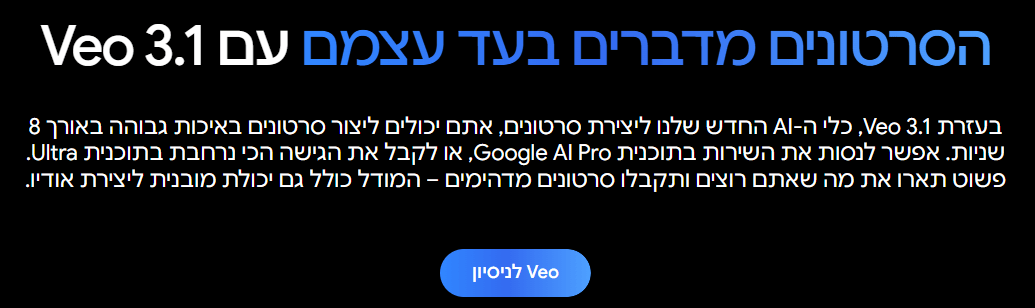 צילום מסך אתר VEO google ai studio